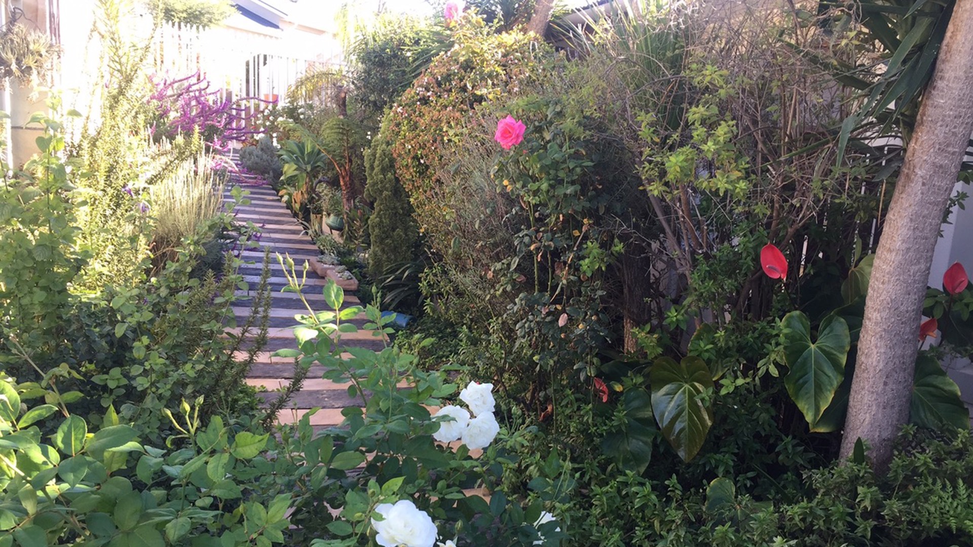 Garden and outdoor seating at Cherished Accommodation