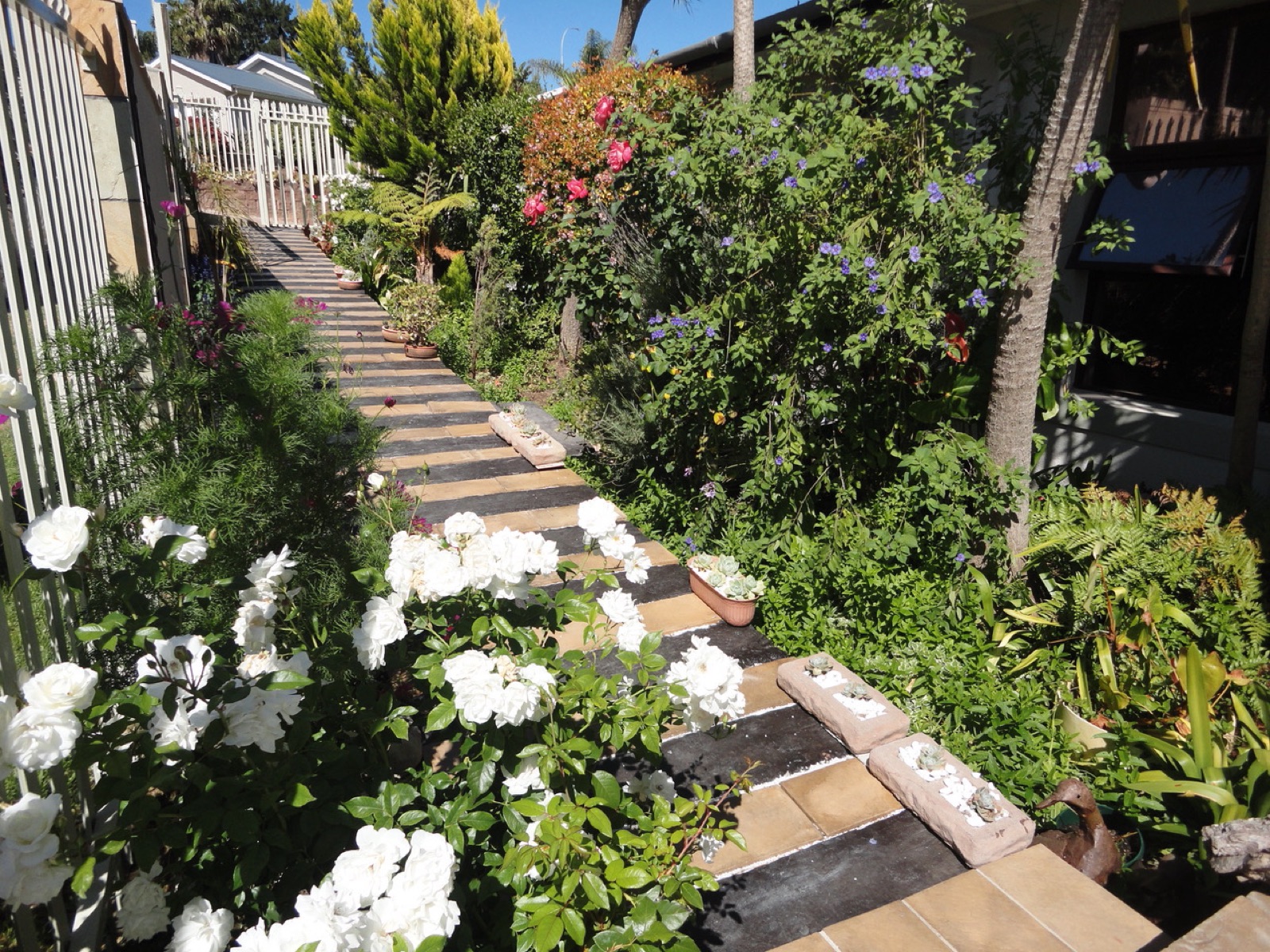 Garden path winding through the grounds at Marshrose